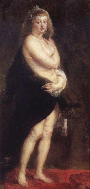 Peter Paul Rubens The little fur Germany oil painting art